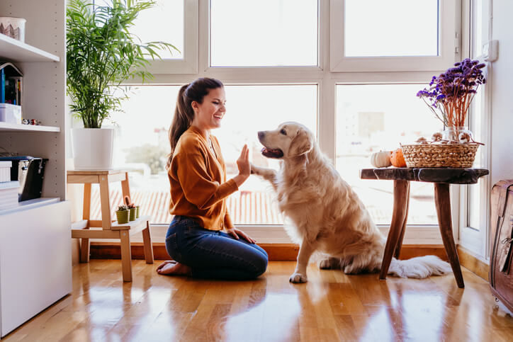 Student Playing With Her Dog